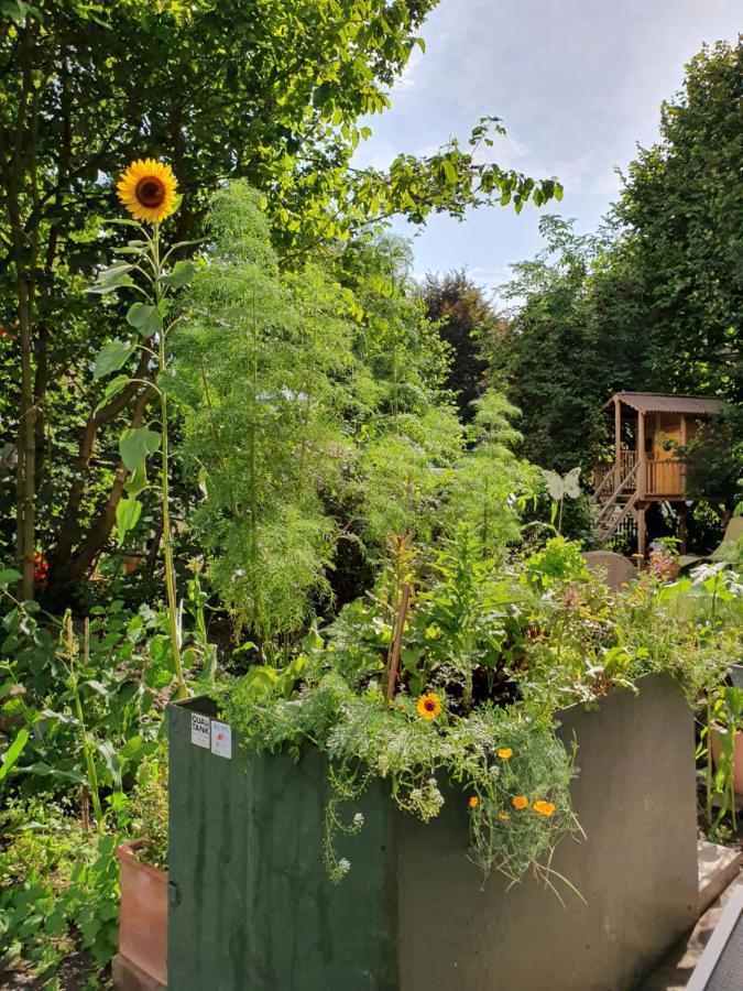 Zentral Gelegene Wohnung Mit Grossem Garten Interlaken Exterior photo