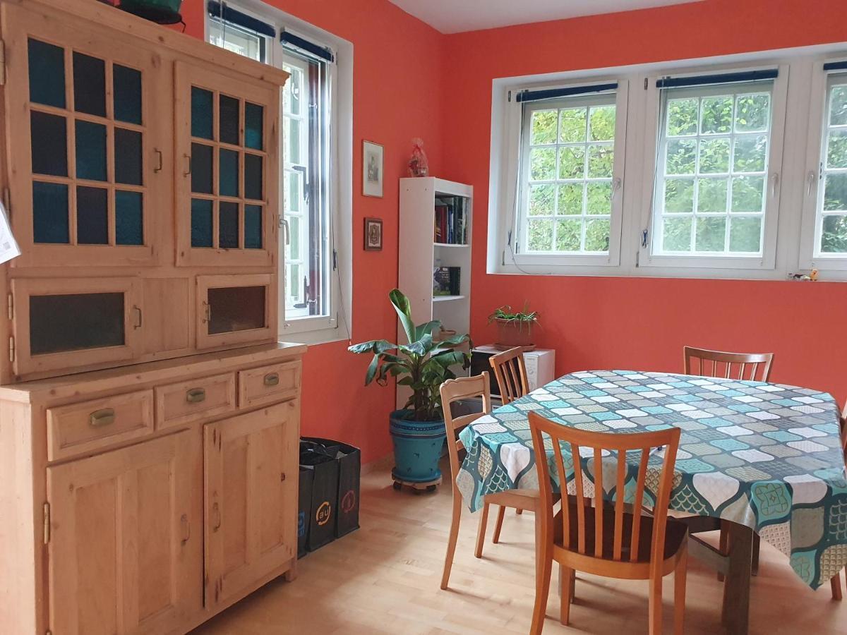 Zentral Gelegene Wohnung Mit Grossem Garten Interlaken Exterior photo